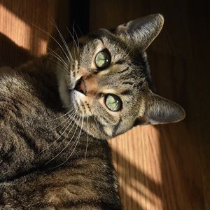 Meet your Posher, Jane